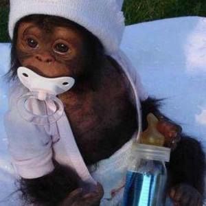 Meet your Posher, Joshua